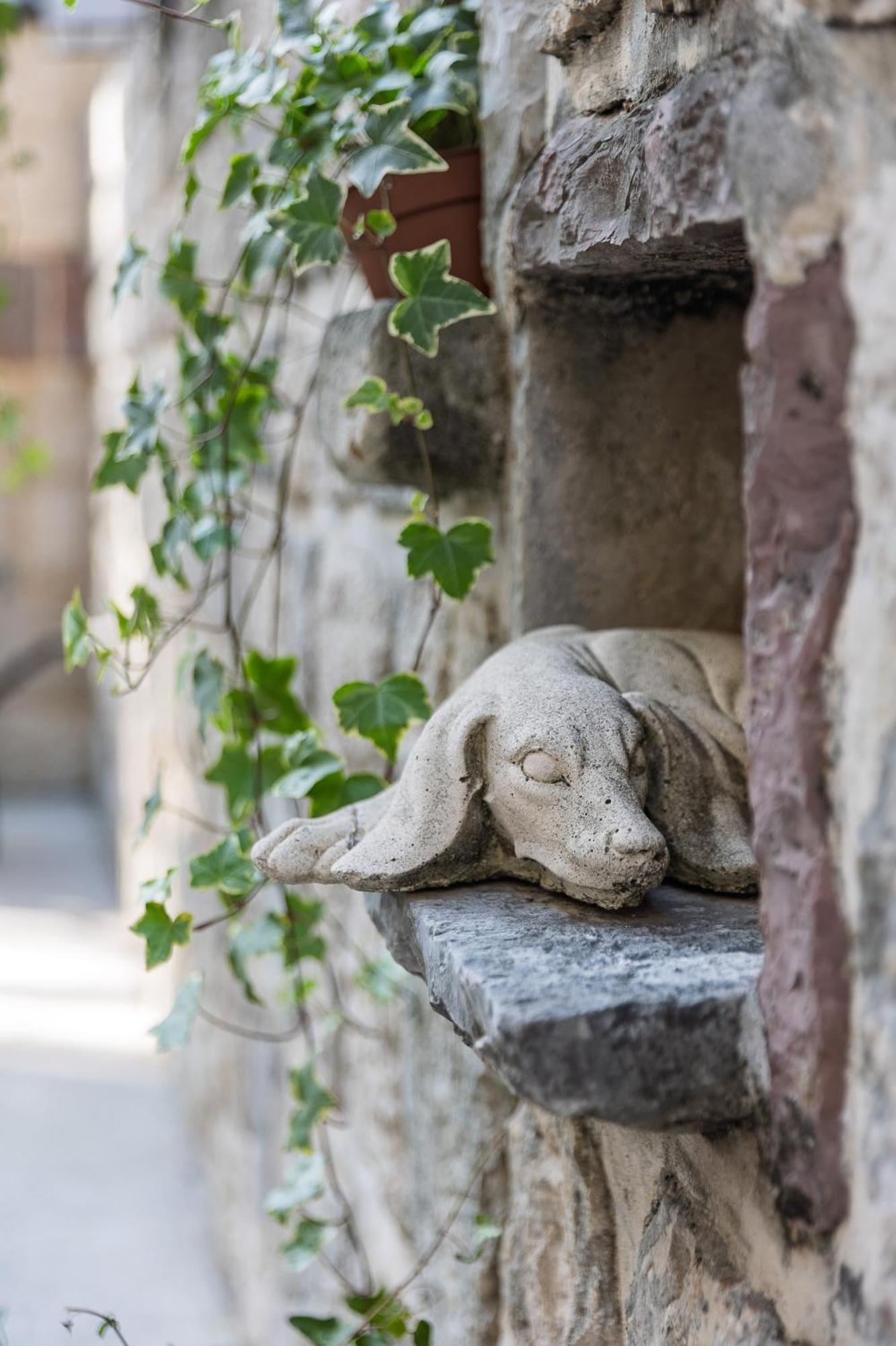 Verdi Kotor Exteriér fotografie